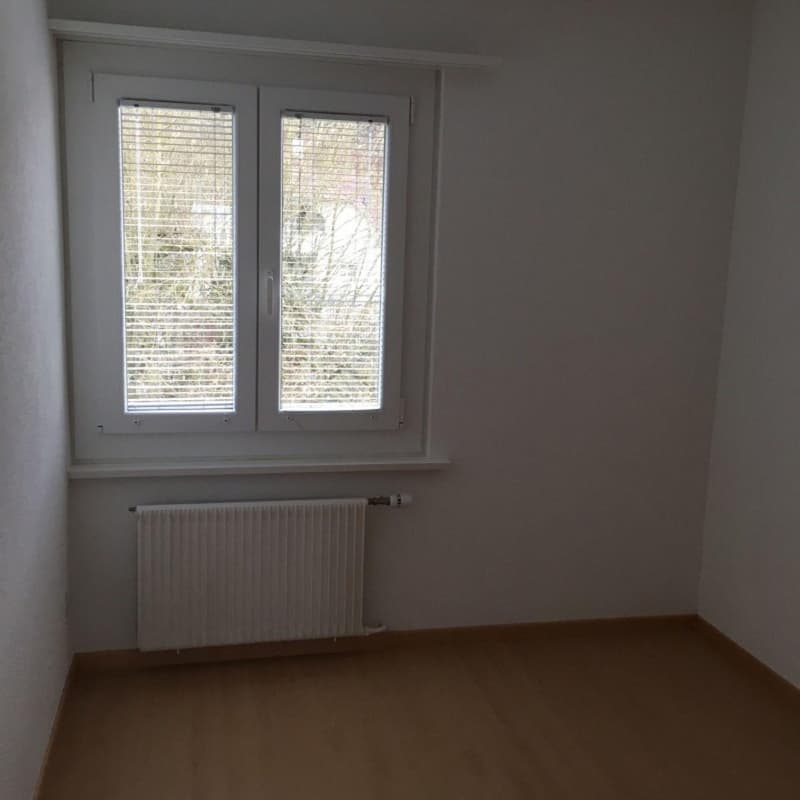 Charming 4-room apartment in a quiet location in Zuchwil (5)