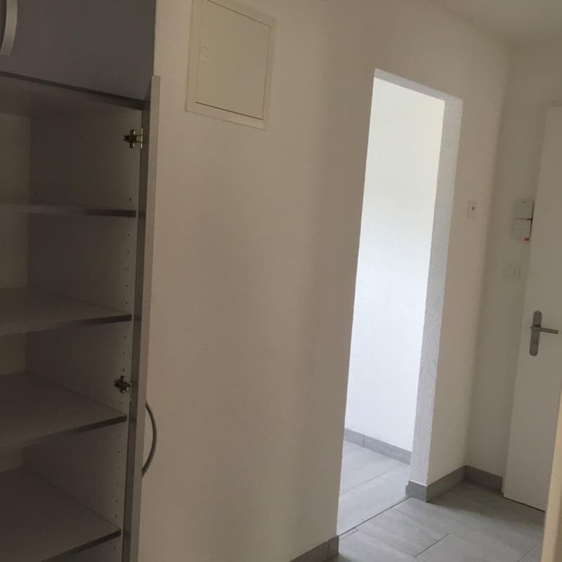 Charming 4-room apartment in a quiet location in Zuchwil (4)