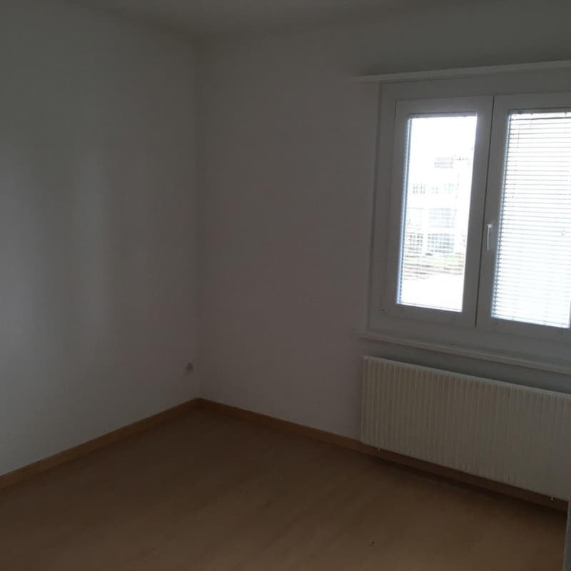 Charming 4-room apartment in a quiet location in Zuchwil (3)