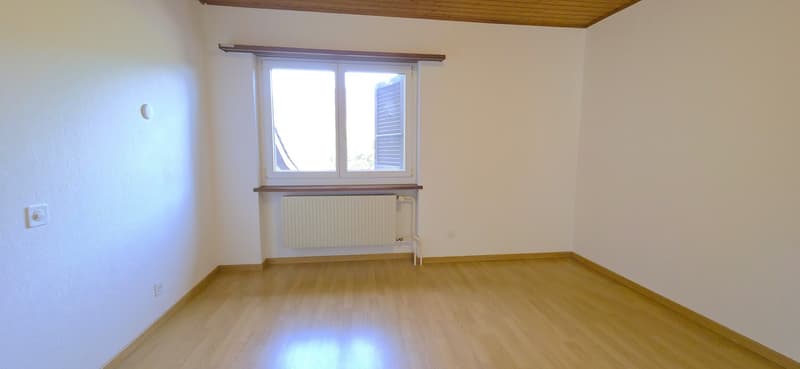 Appartement spacieux au coeur de Courchapoix (12)