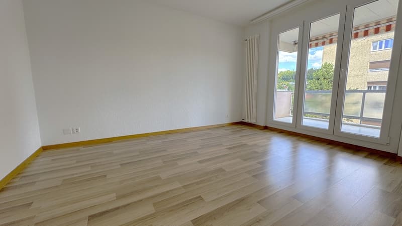 Après rénovation complète 3.5 pièces à louer OFFRE SPECIALE : 1 loyer net offert! (3)