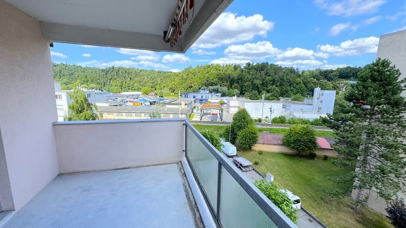 Après rénovation complète 3.5 pièces à louer OFFRE SPECIALE : 1 loyer net offert! (9)