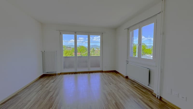 Appartamento di 3 locali luminoso con balcone a Murgenthal disponibile immediatamente! (6)