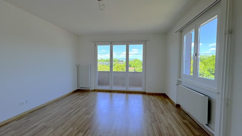 Appartamento di 3 locali luminoso con balcone a Murgenthal disponibile immediatamente! (3)