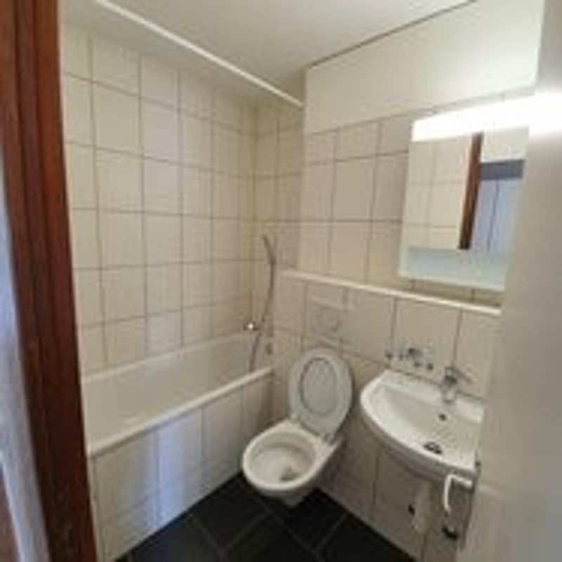 Incantevole appartamento 3.5 locali su Uferweg a Burgdorf (3)