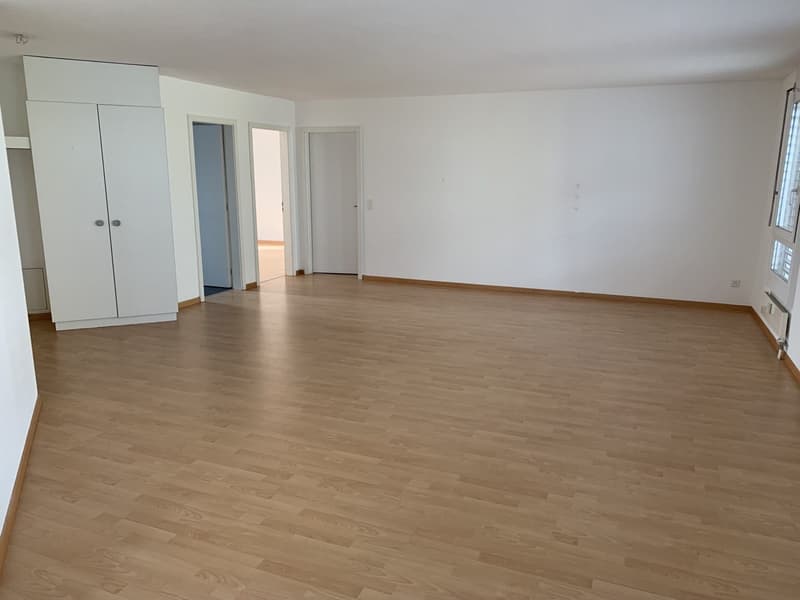 Appartamento accogliente di 3 locali con balcone a Grenchen (6)