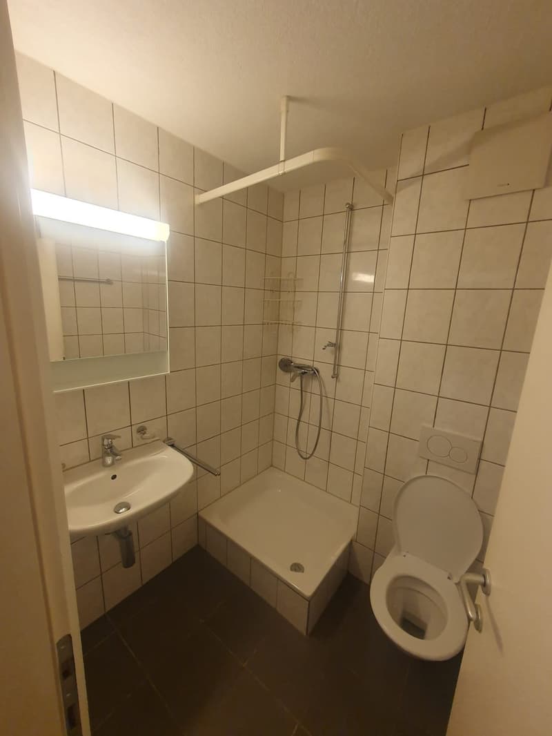 Appartamento di 1 camera accogliente su Elsässerstrasse a Basilea (4)