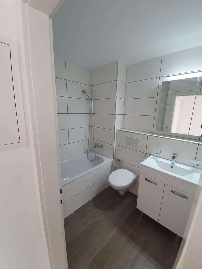 Charmant appartement de 2 pièces à Valbirse (6)