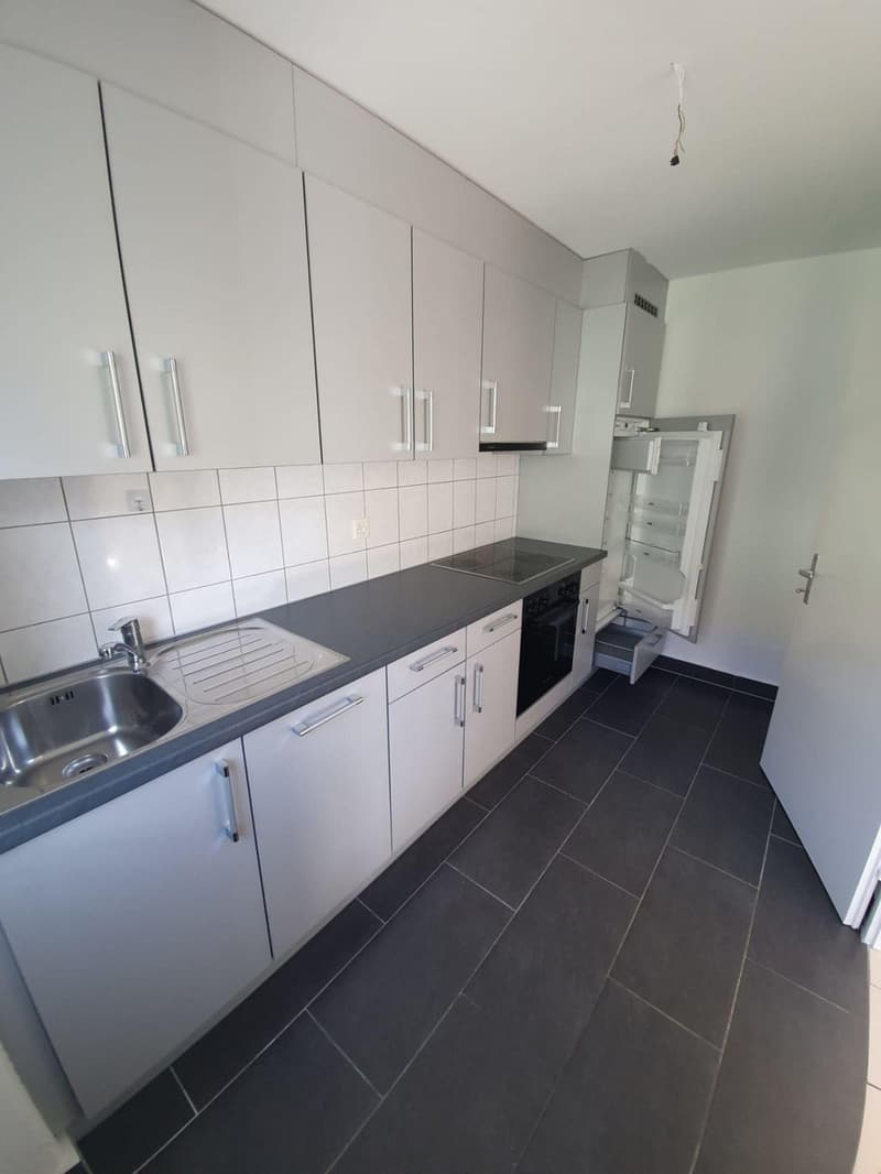 Charmantes 2-Zimmer-Wohnung mit Balkon in Valbirse (1)