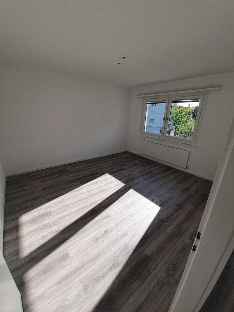 Charmantes 2-Zimmer-Wohnung mit Balkon in Valbirse (3)