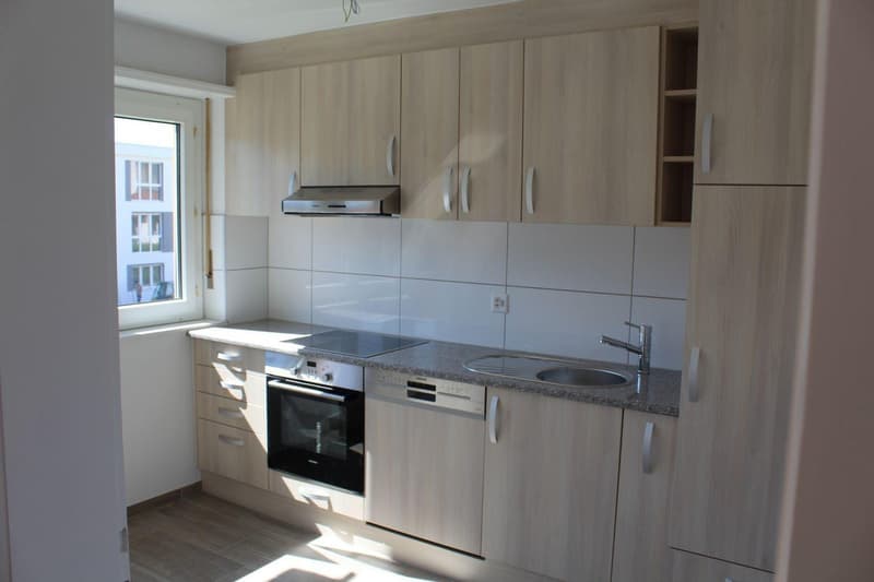 Wohnung mit 3 Zimmern in Courgenay! (1)