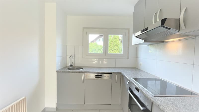 Charming 4-room apartment in a quiet location in Zuchwil (2)