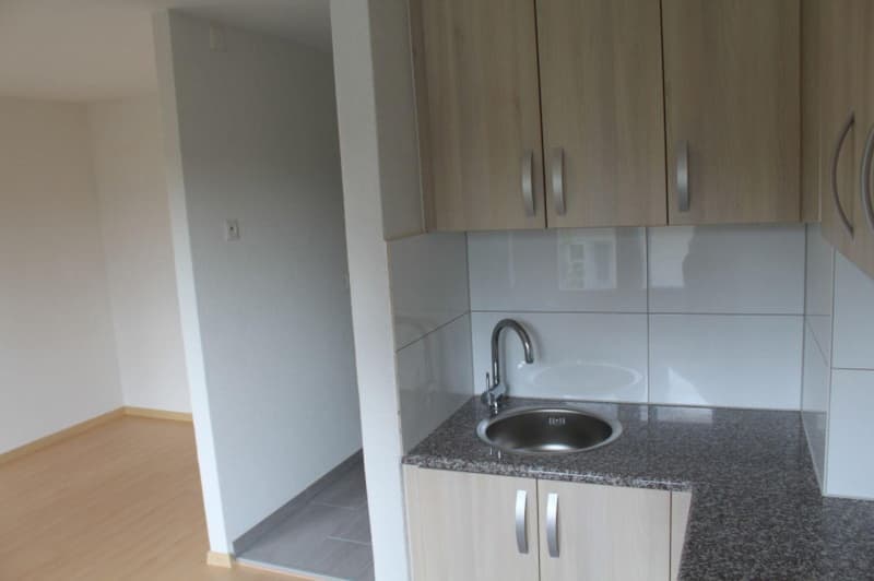 Gemütliches 1-Zimmer-Apartment in Zuchwil ab sofort verfügbar! (2)