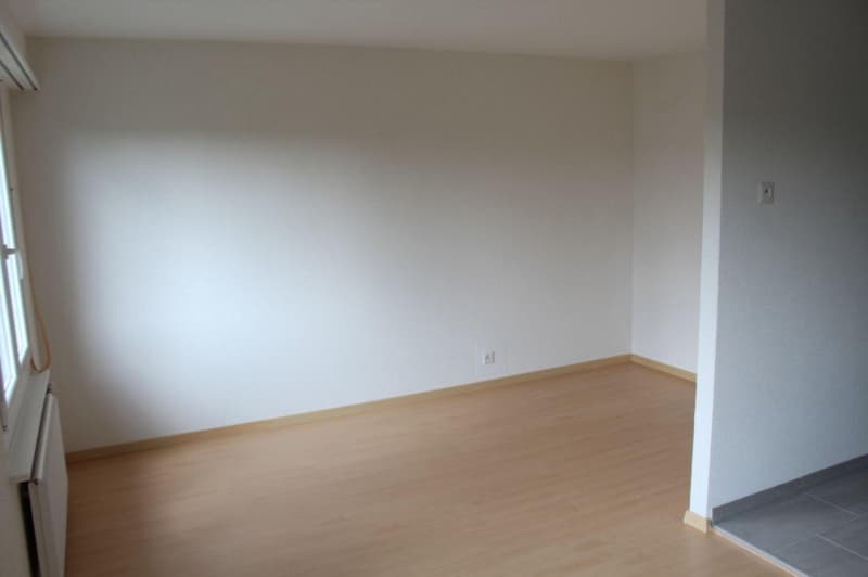Gemütliches 1-Zimmer-Apartment in Zuchwil ab sofort verfügbar! (3)