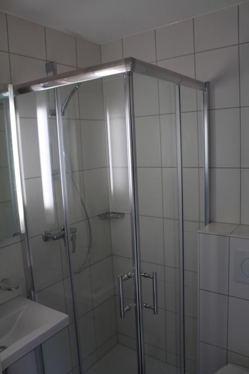 Gemütliches 1-Zimmer-Apartment in Zuchwil ab sofort verfügbar! (6)