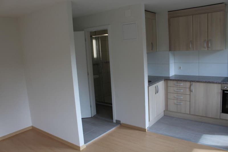 Gemütliches 1-Zimmer-Apartment in Zuchwil ab sofort verfügbar! (4)