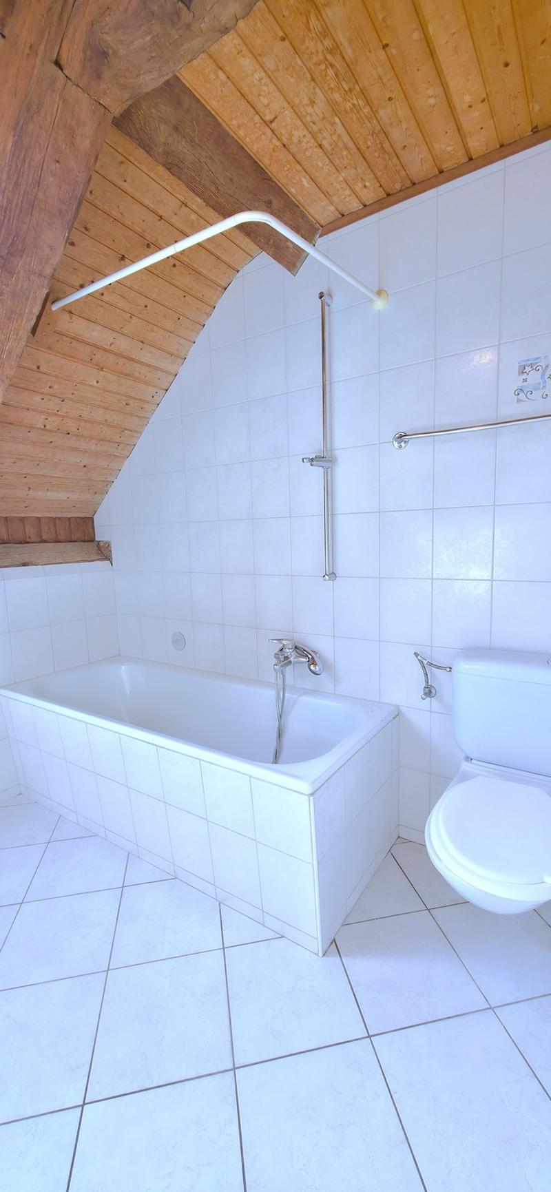 Charmant appartement de 4.5 pièces à Courchapoix (11)