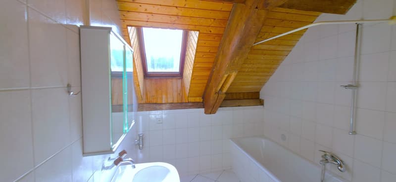 Charmant appartement de 4.5 pièces à Courchapoix (9)