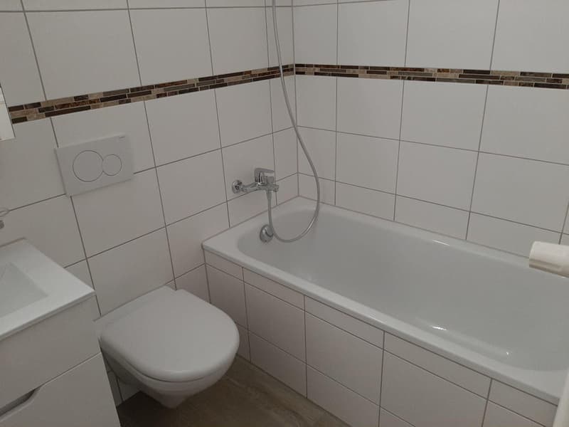 Appartement lumineux de 2 pièces à Porrentruy (3)