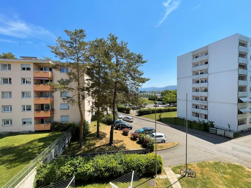 Charmant appartement de 3 pièces à Delémont (1)