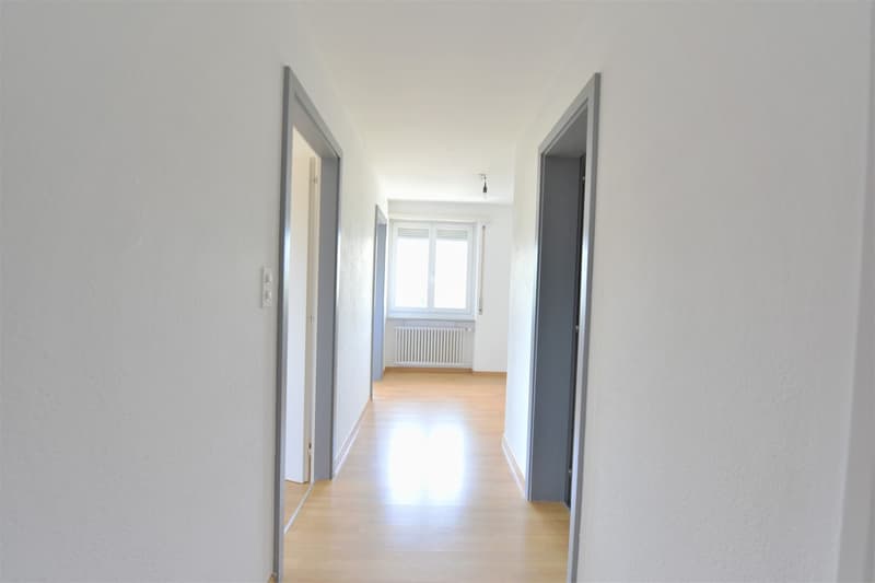 Charmant appartement de 3 pièces à Delémont (3)