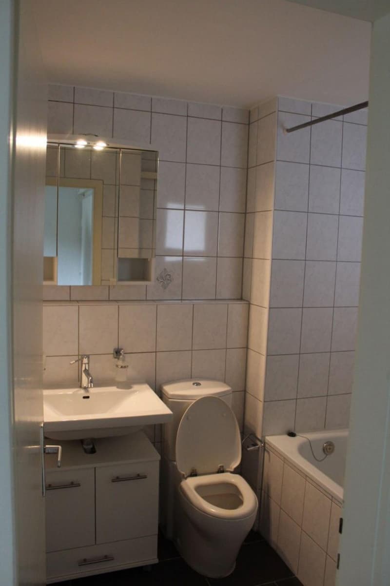 Appartement de 2 pièces à louer à Valbirse (7)