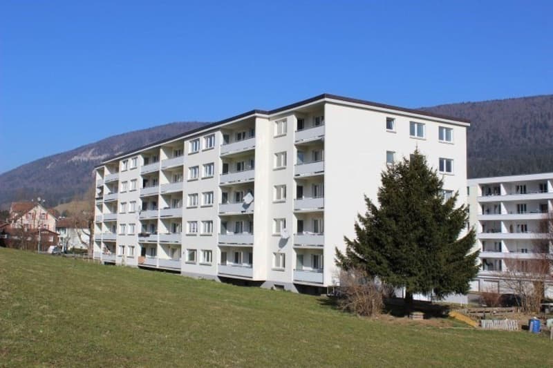 Appartement de 2 pièces à louer à Valbirse (2)