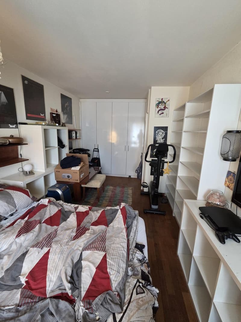 Charmante 3-Zimmer-Eigentumswohnung im Erdgeschoss in Basel (9)