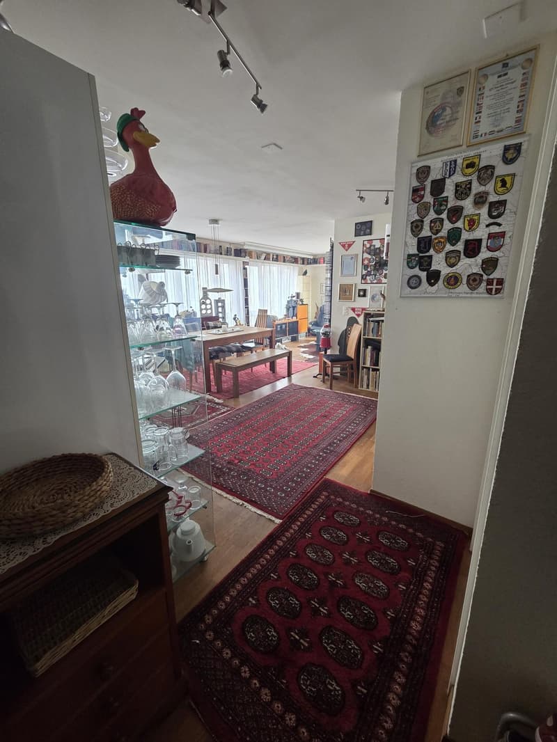 Charmante 3-Zimmer-Eigentumswohnung im Erdgeschoss in Basel (11)