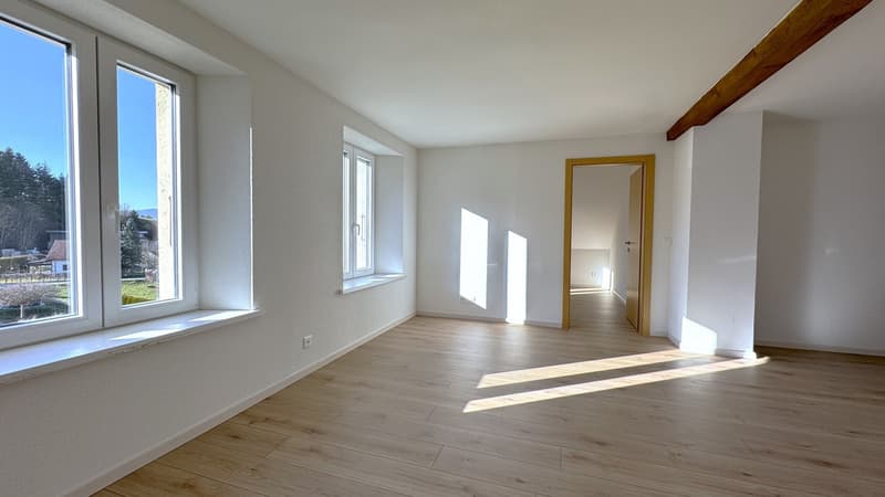 Charmant appartement en attique de 3 pièces (9)