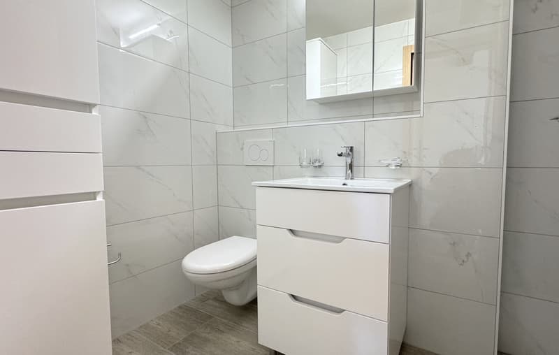 Charmant appartement en attique de 3 pièces (5)