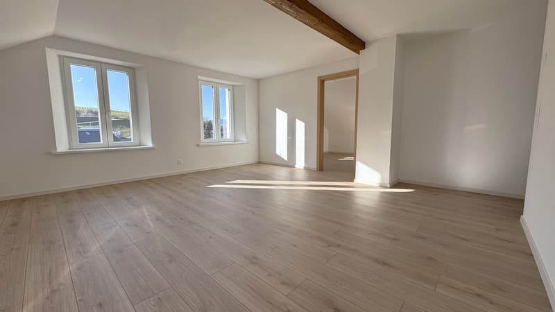 Charmant appartement en attique de 3 pièces (12)