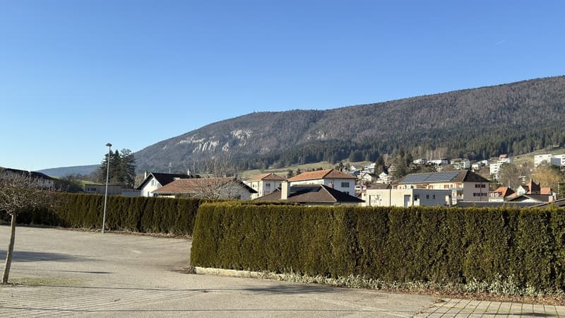 Charmant appartement en attique de 3 pièces (13)