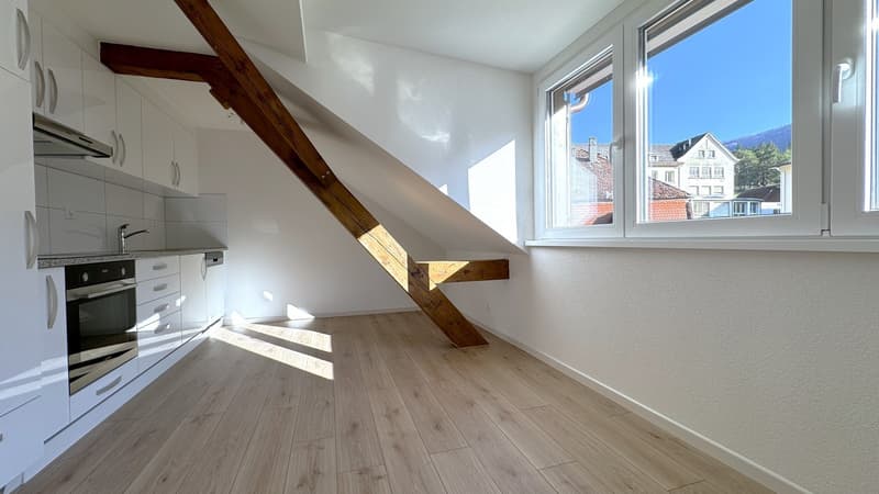 Charmant appartement en attique de 3 pièces (4)