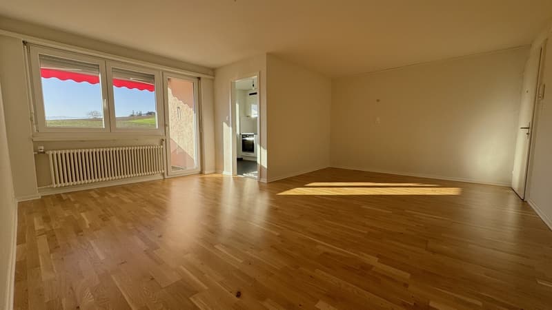 Charmant appartement de 2 pièces à Delémont (3)