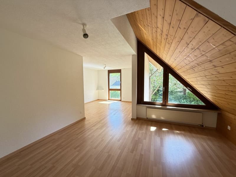 Spacious and detached 9 1/2-room single-family house - natural living with proximity to the city (10)