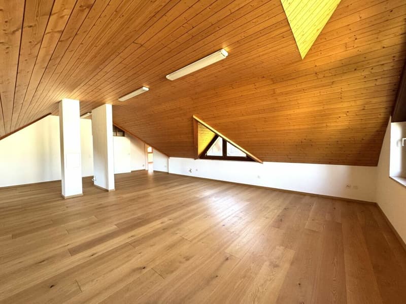 Spacious and detached 9 1/2-room single-family house - natural living with proximity to the city (13)