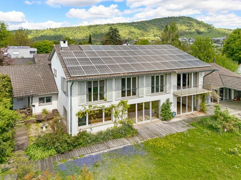 Seltene Gelegenheit in Liestal- Repräsentative Villa auf attraktivem Grundstück (8)