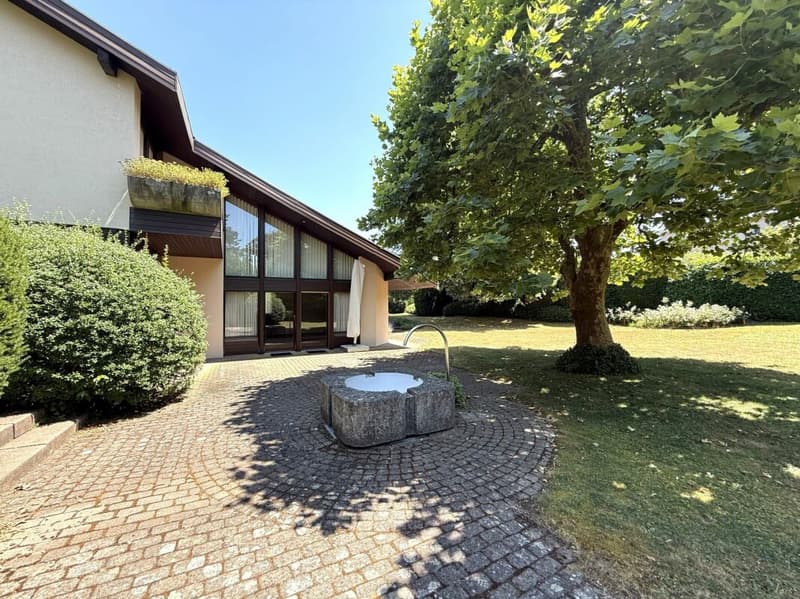 Eine der schönsten Grundstücke in Binningen - Villa mit Entwicklungspotenzial (10)