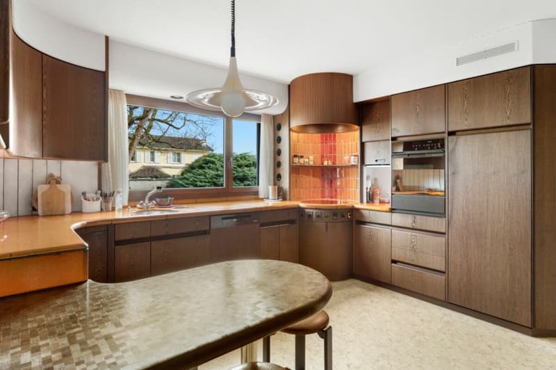 Eine der schönsten Grundstücke in Binningen - Villa mit Entwicklungspotenzial (4)