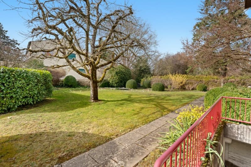 Eine der schönsten Grundstücke in Binningen - Villa mit Entwicklungspotenzial (16)