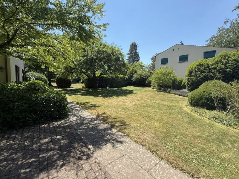 Eine der schönsten Grundstücke in Binningen - Villa mit Entwicklungspotenzial (13)