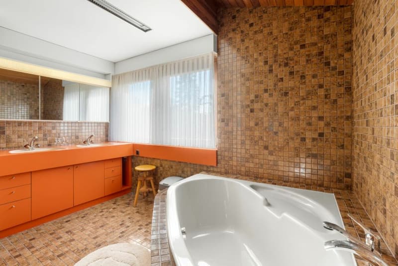 Eine der schönsten Grundstücke in Binningen - Villa mit Entwicklungspotenzial (7)