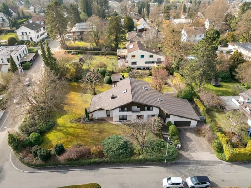 Eine der schönsten Grundstücke in Binningen - Villa mit Entwicklungspotenzial (2)