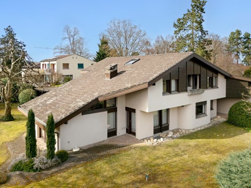 Eine der schönsten Grundstücke in Binningen - Villa mit Entwicklungspotenzial (17)