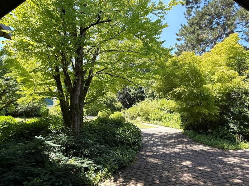 Eine der schönsten Grundstücke in Binningen - Villa mit Entwicklungspotenzial (12)