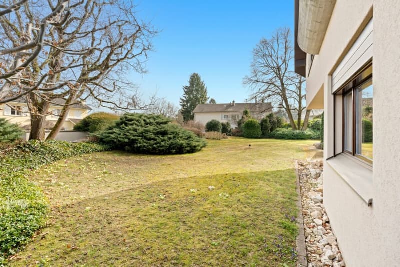 Eine der schönsten Grundstücke in Binningen - Villa mit Entwicklungspotenzial (15)