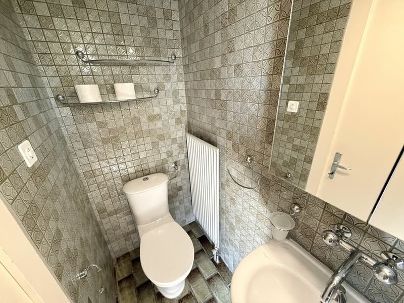 Ruhig gelegenes 4 1/2 Zimmer Eck-Einfamilienhaus mit Garten (7)
