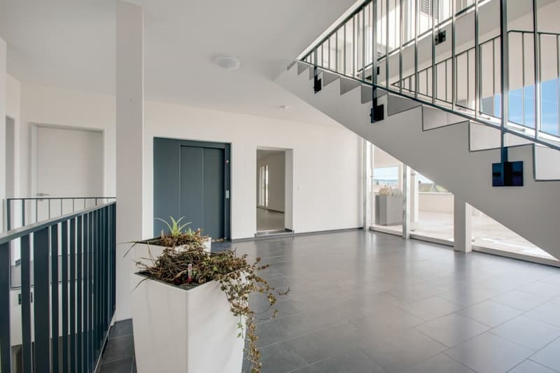 Espace commercial avec cuisine et salle de bain (3)