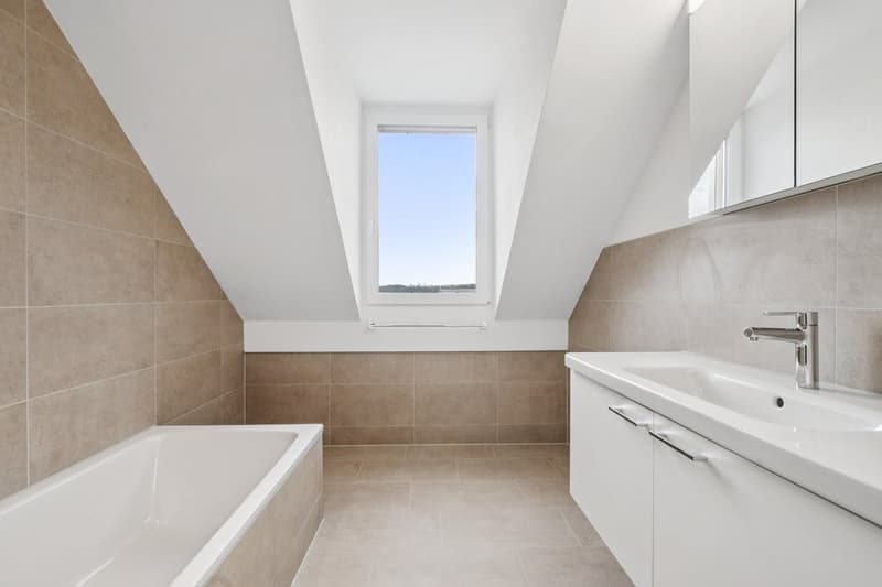 APPARTEMENT MAISONETTE SPACIEUX À LOUER (8)